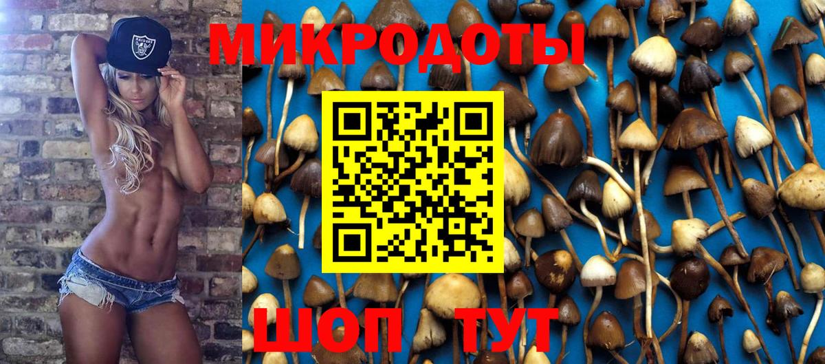 Псилоцибиновые грибы Psilocybine cubensis  Вход с VPN  Оренбург  Псилоцибиновые грибы GOLDEN TEACHER 
