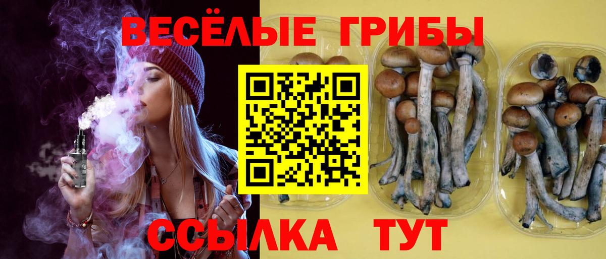 Псилоцибиновые грибы ЛСД Оренбург